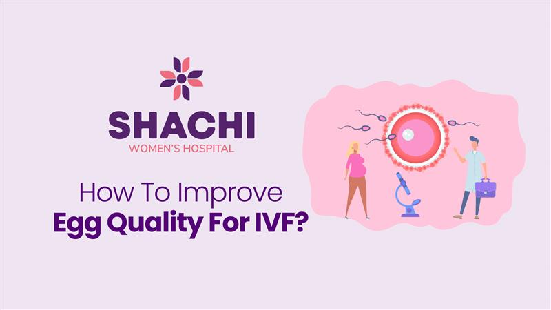 Improve Egg Quality Improve Egg Quality