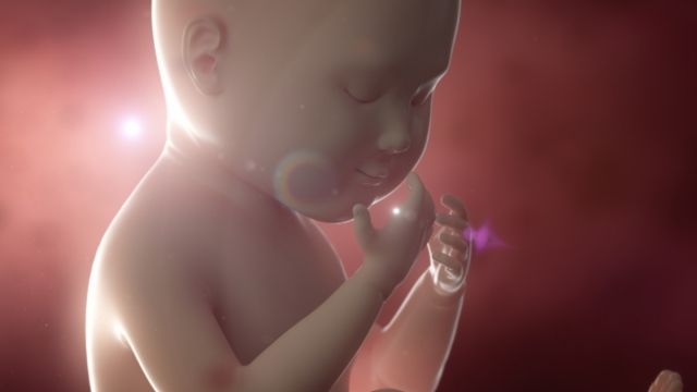 3D 4D Sonography in Ahmedabad